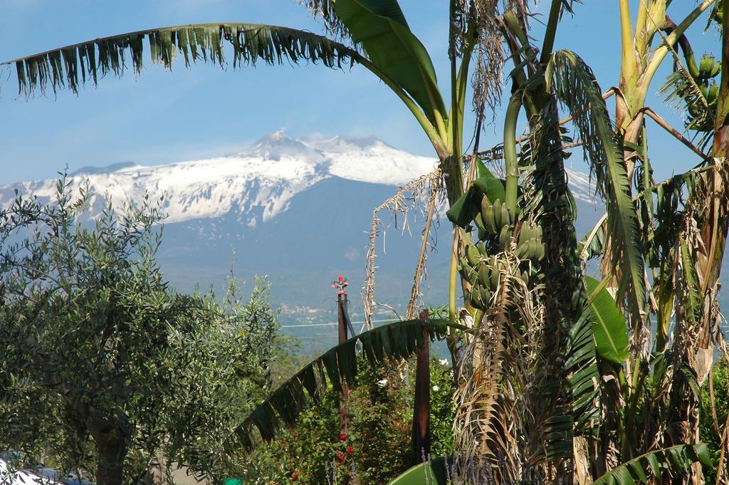 Agriturismo Dell'Etna Riposto Εξωτερικό φωτογραφία